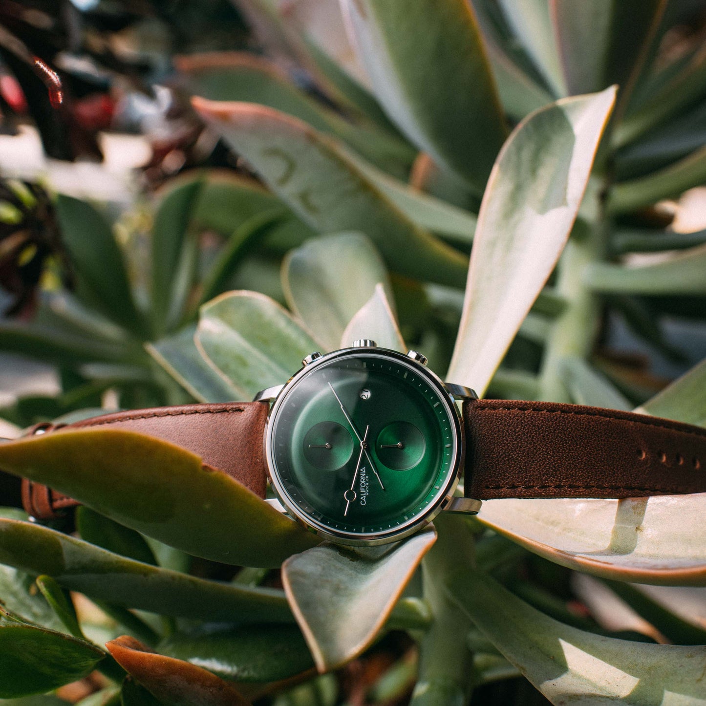 California Watch Co. Golden Gate Chrono Leather Dark Brown Green