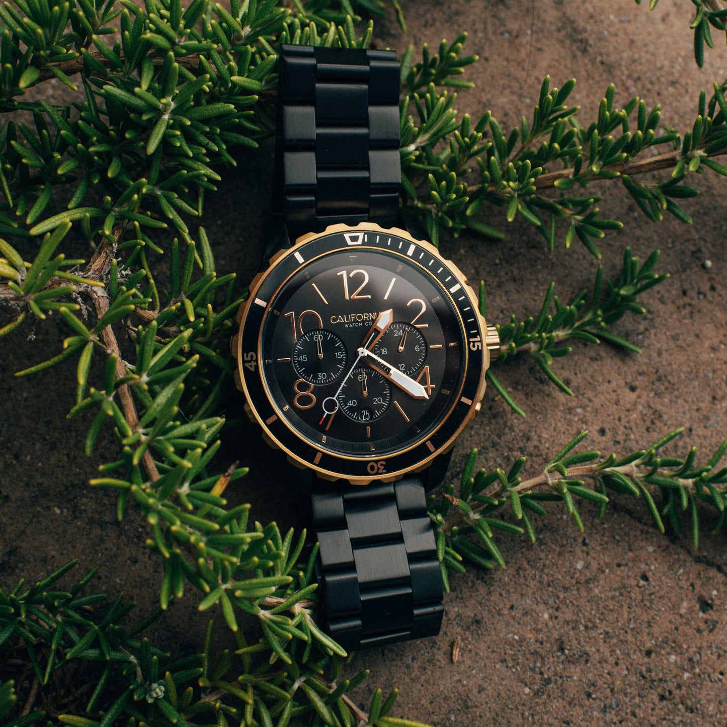 California Watch Co. Mavericks Chrono SS All Black Gold