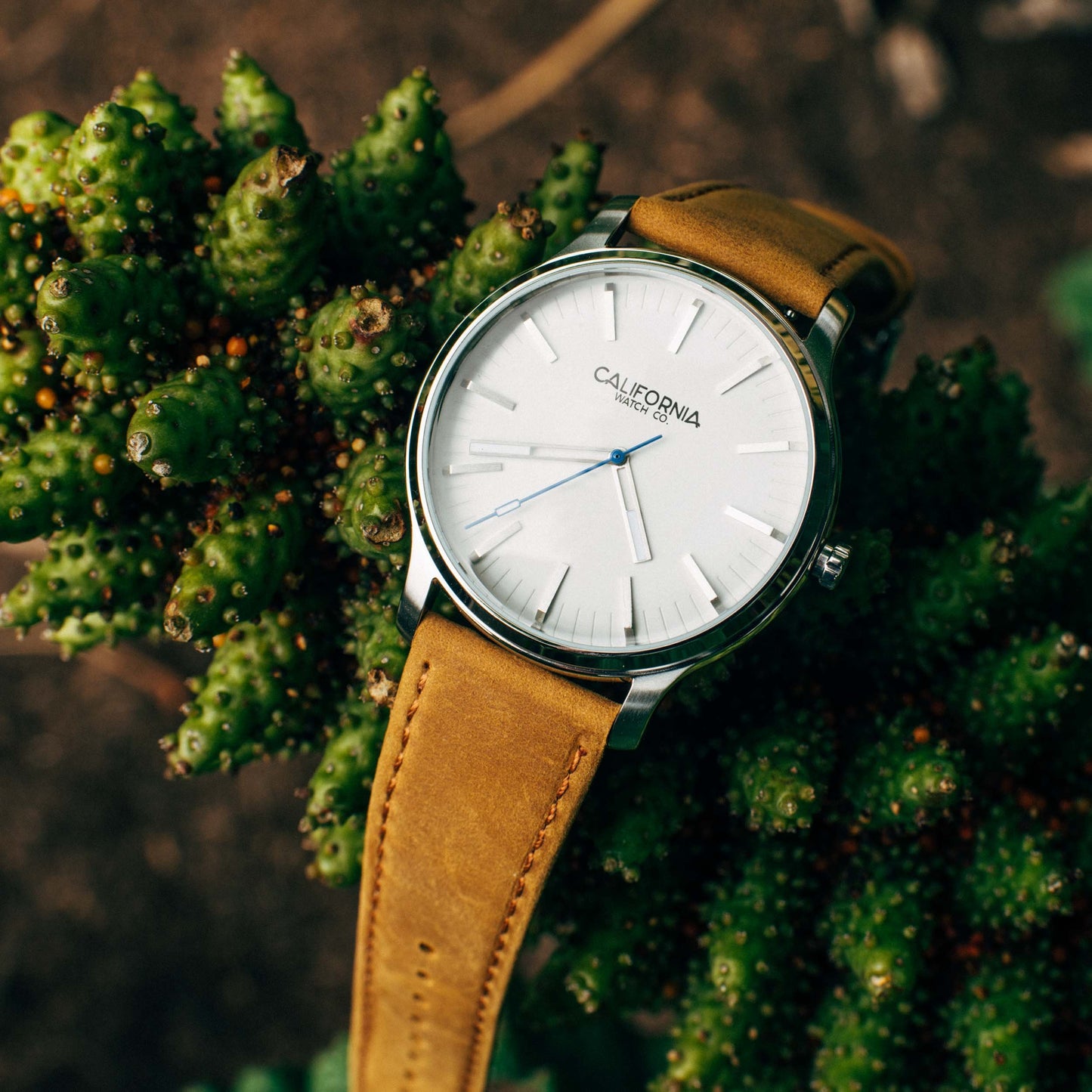 California Watch Co. Laguna 40 Leather Sand White